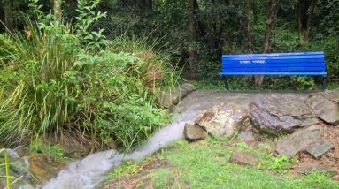 Bardwell Valley Parklands - Hidden Gem