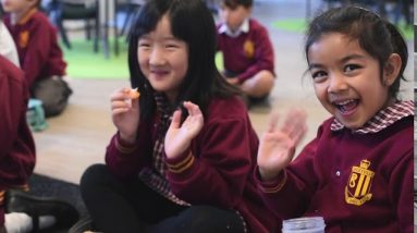 Daceyville Public School Virtual Kindergarten Tour