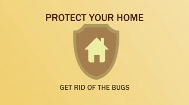 Expert Pest Control Arncliffe, NSW 2205