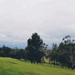 #scenic #tour #Bardwell #Valley , Sydney Australia |Dr Amina Kanwar