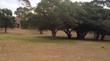 Seaforth park , Bexley, NSW, Australia