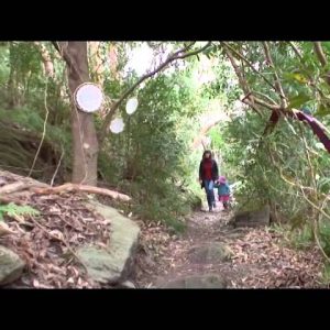 Wolli Creek Valley - Get Involved